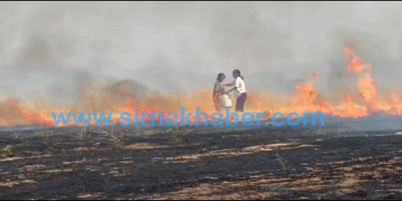 Şırnak'ta 200 dönümlük alanda çıkan anız yangını söndürüldü