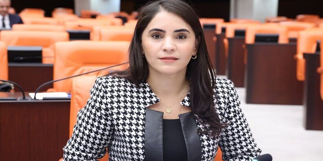 Şırnak Milletvekili Uysal Aslan'dan TBMM'ye dikkat çeken teklif: Türkiye'ye Çocuk Bakanlığı kurulsun!