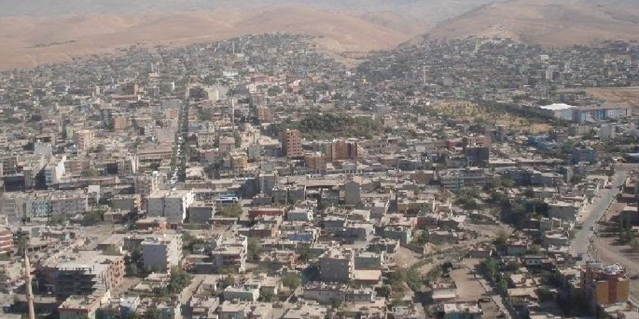 Silopi'de Sınav Tarihine Geçen Başarı: 141 Öğrenci Türkiye Derecesi Yaptı!