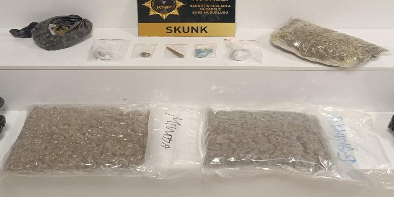 Kilolarca skunk ele geçirildi