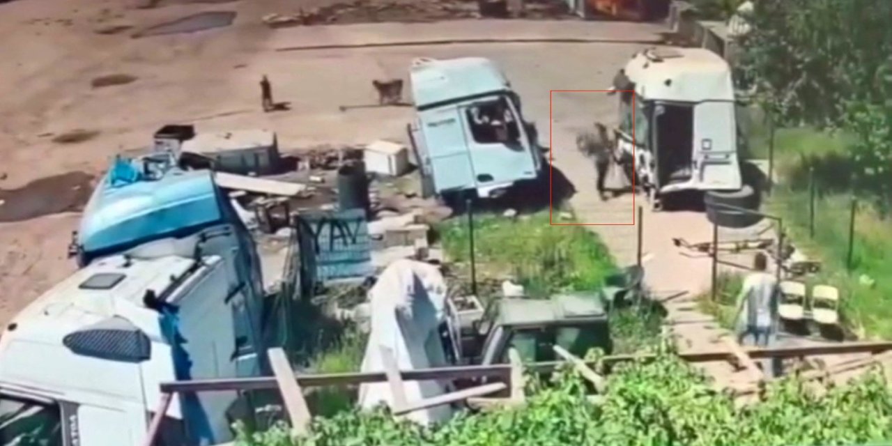Şırnak'ta Başı boş köpekler önce küçük çocuğa şimdi de yaşlı adama saldırdı