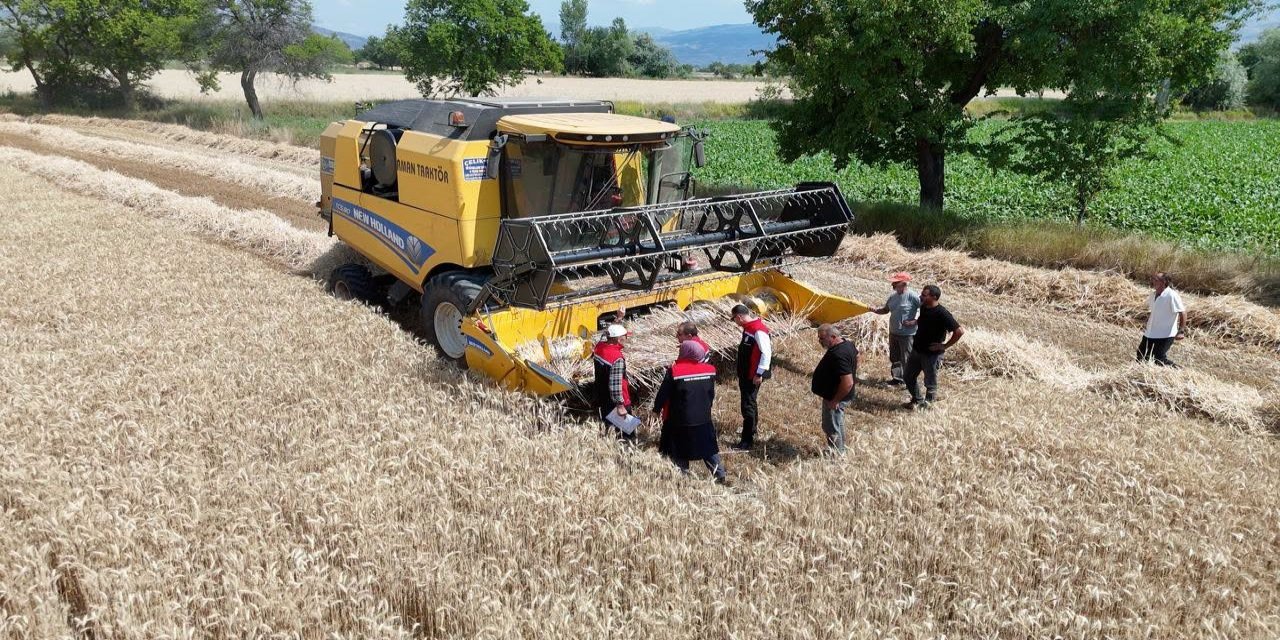 Erzincan'da buğday hasadı sürüyor, biçerdöverler denetlendi