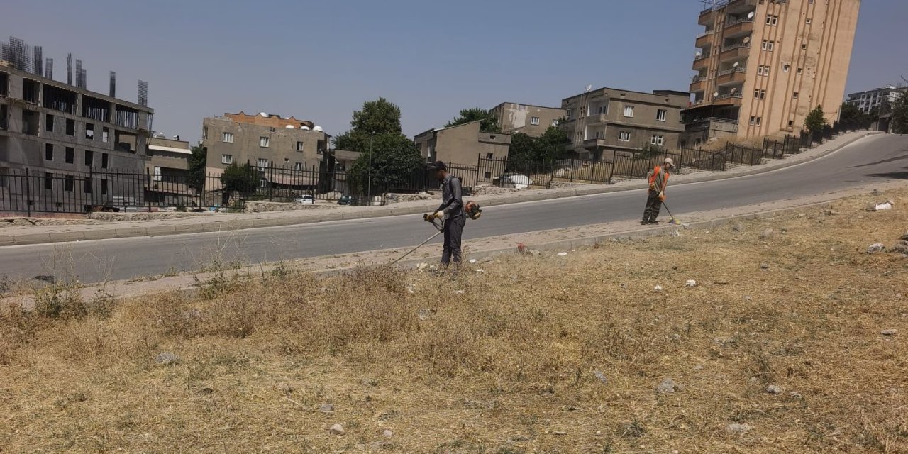Şırnak’ta Temizlik Seferberliği: Otlar Biçiliyor, Riskler Ortadan Kaldırılıyor!