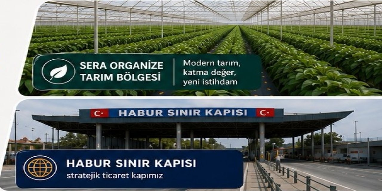 Şırnak'ta Dev Yatırım İçin Kritik Onay: Silopi Karma OSB'de Yeni Aşama