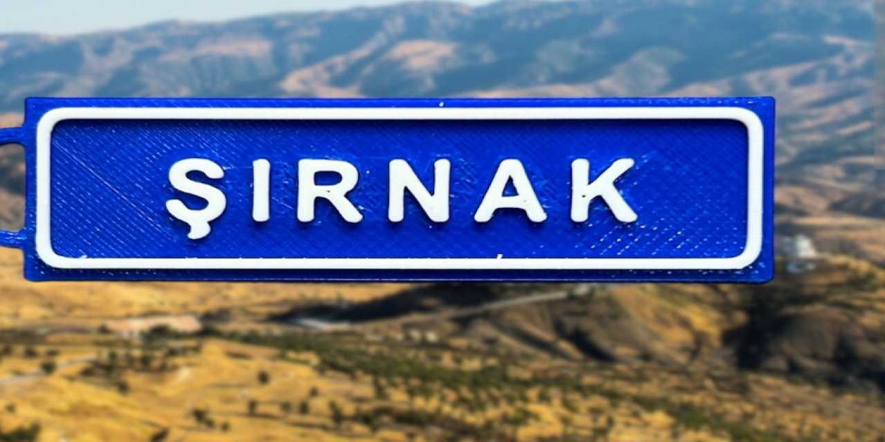 Şırnak'ta Çift Dilli Tabela Kararı Beklemede: DEM Parti Yetkililere Seslendi