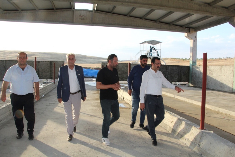 DEVLETTEN 4 MİLYON LİRA DESTEK ALDI, GÜNDE 5 TON SÜT ÜRETMEYİ HEDEFLİYOR