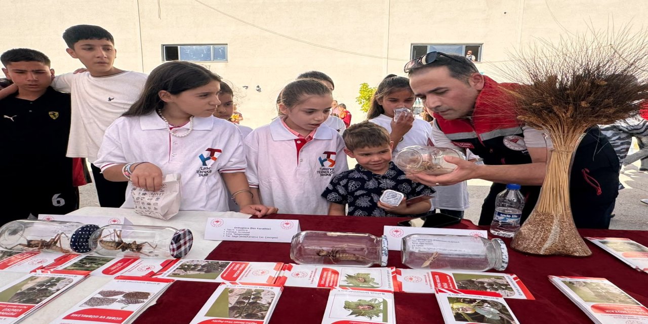 Şırnak’ta TEKNOFEST Standında Dikkat Çeken Konu: Avcı Çekirgeler