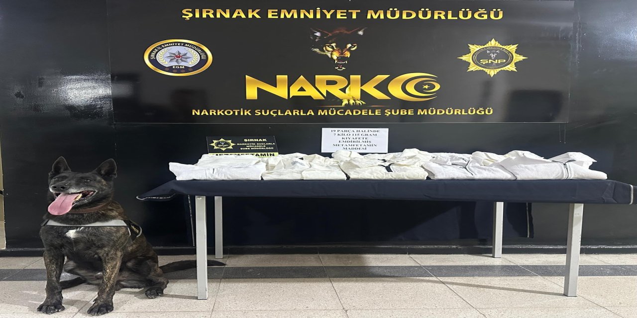 Şırnak'ta uyuşturucu ve kaçakçılık operasyonlarında 1 şüpheli tutuklandı