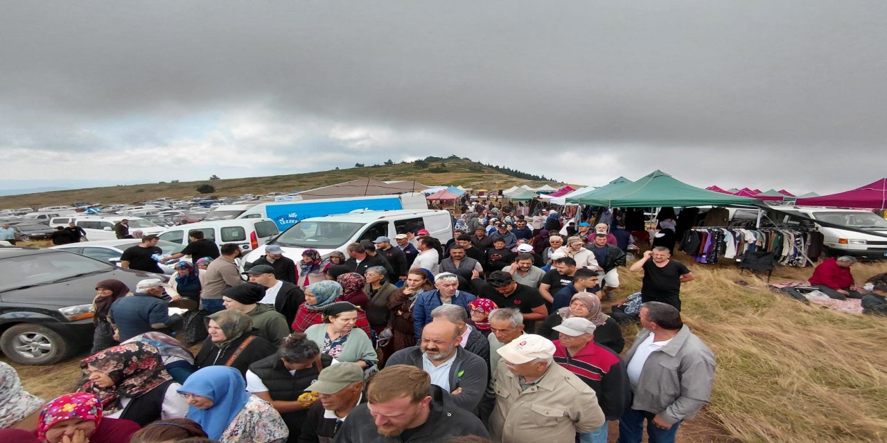 Bin 850 rakımlı zirvede şifa mesaisi: Hacet Bayramı'nda sarı kantaron topladılar