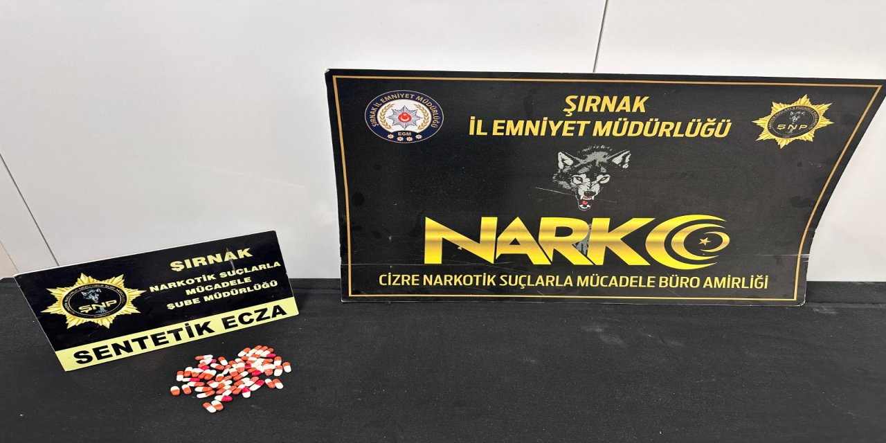 Şırnak’ta asayiş ve narkotik operasyonları düzenlendi