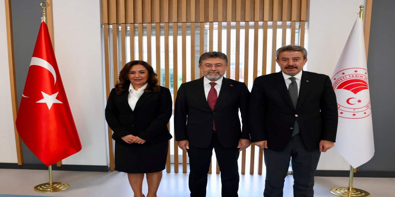 Şırnak’ta Üretimden Altyapıya Yeni Yatırım Hamlesi