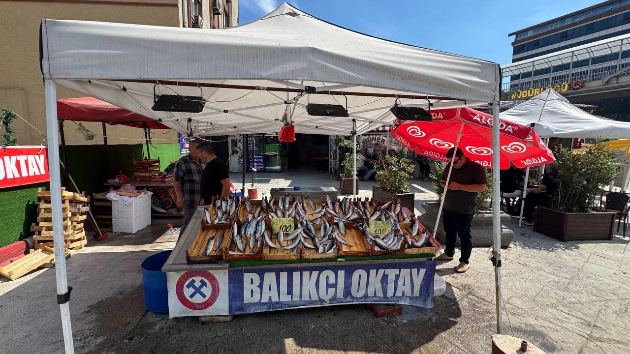 "Bu sene denizden balık fışkıracak"