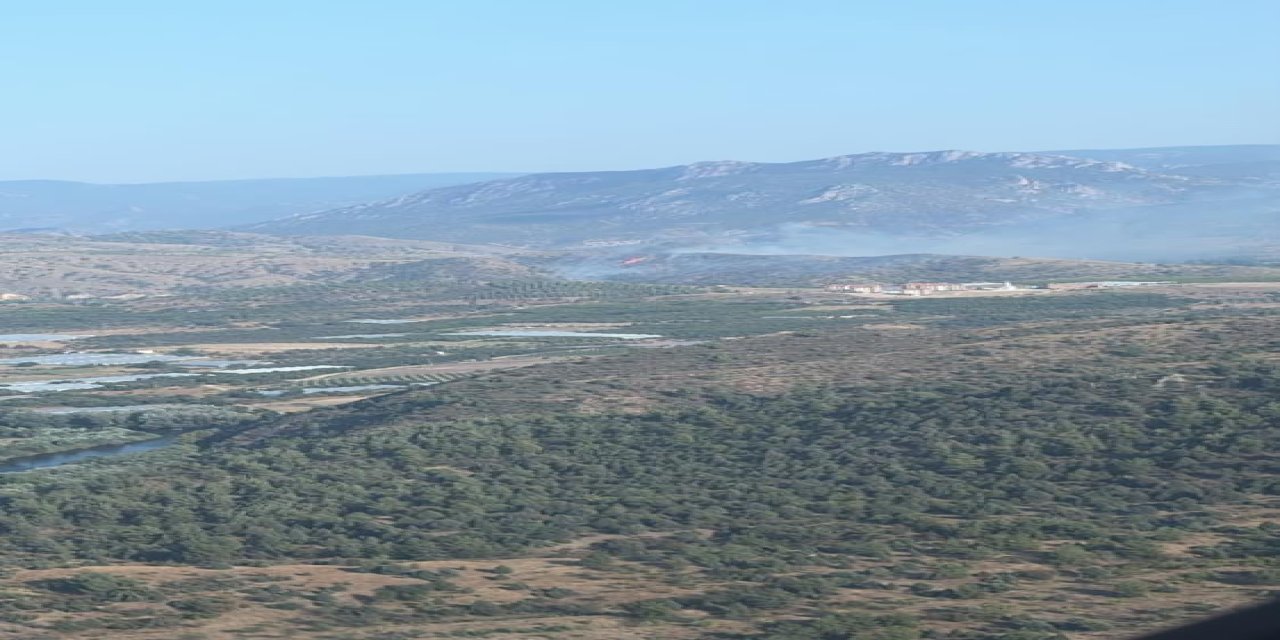 Bilecik’te orman yangını kontrol altına alındı