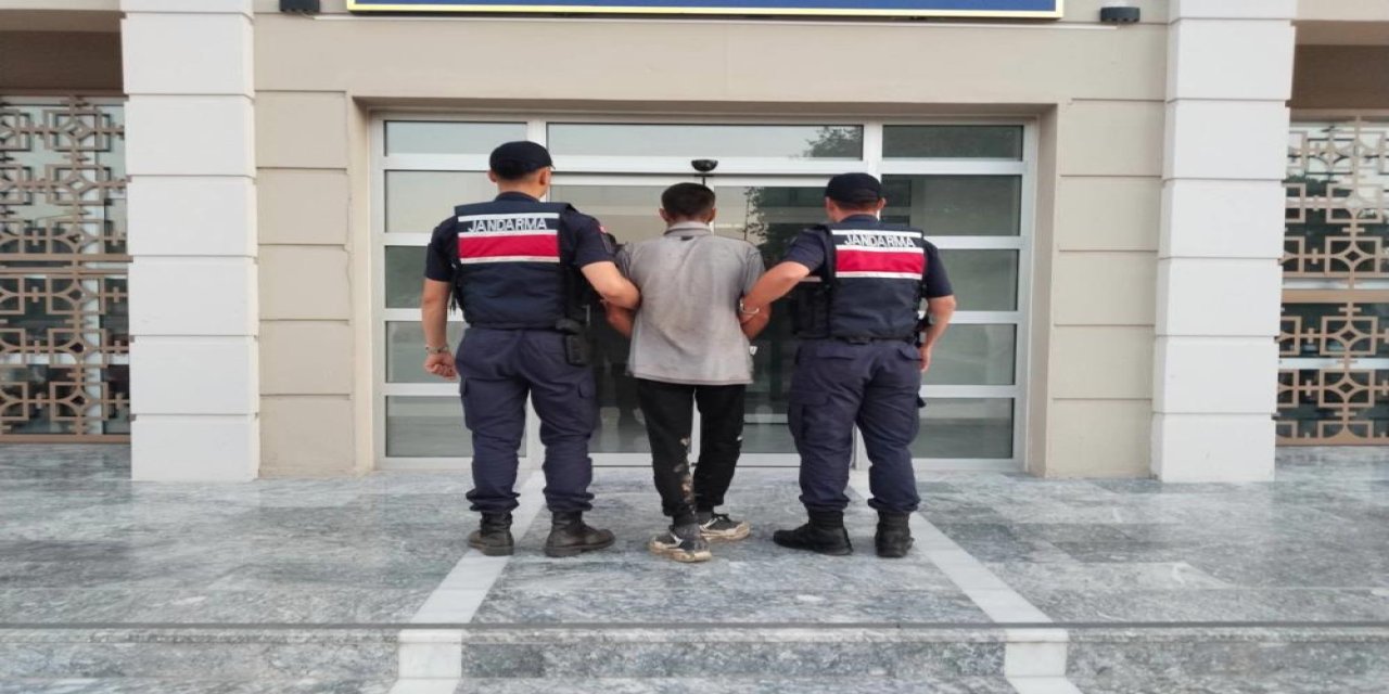 Germencik’te incir hırsızlığına suçüstü