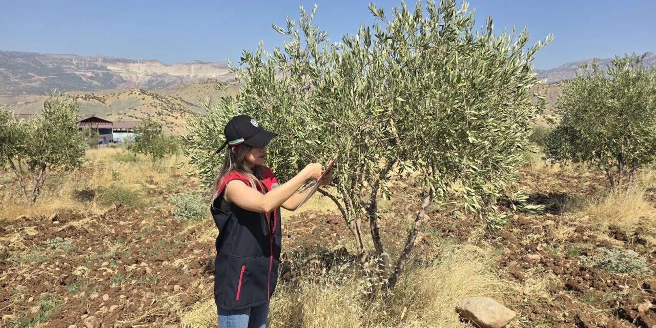 Şırnak’ta Karantina Zararlıları İçin Saha Kontrolleri Sürüyor
