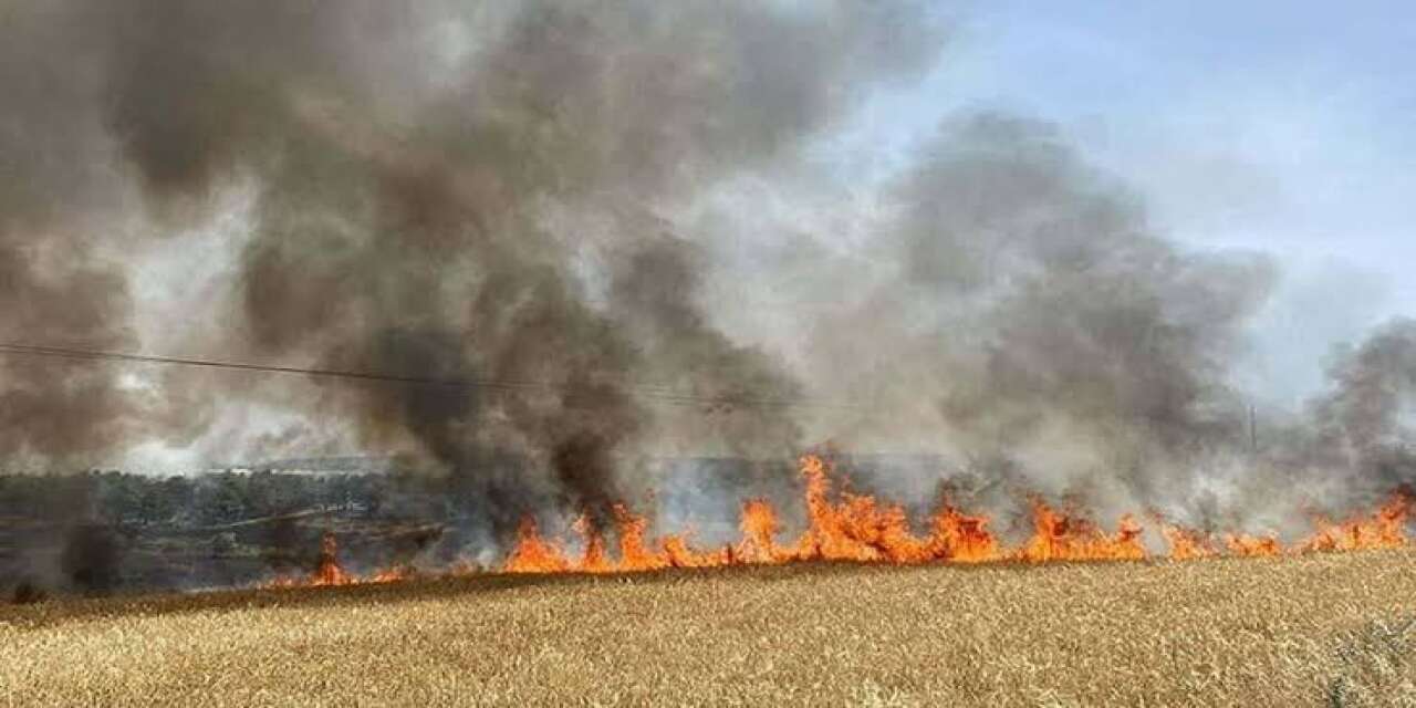Silopi'de Orman ve Anız Yangını Rüzgarın Etkisiyle Yayılıyor
