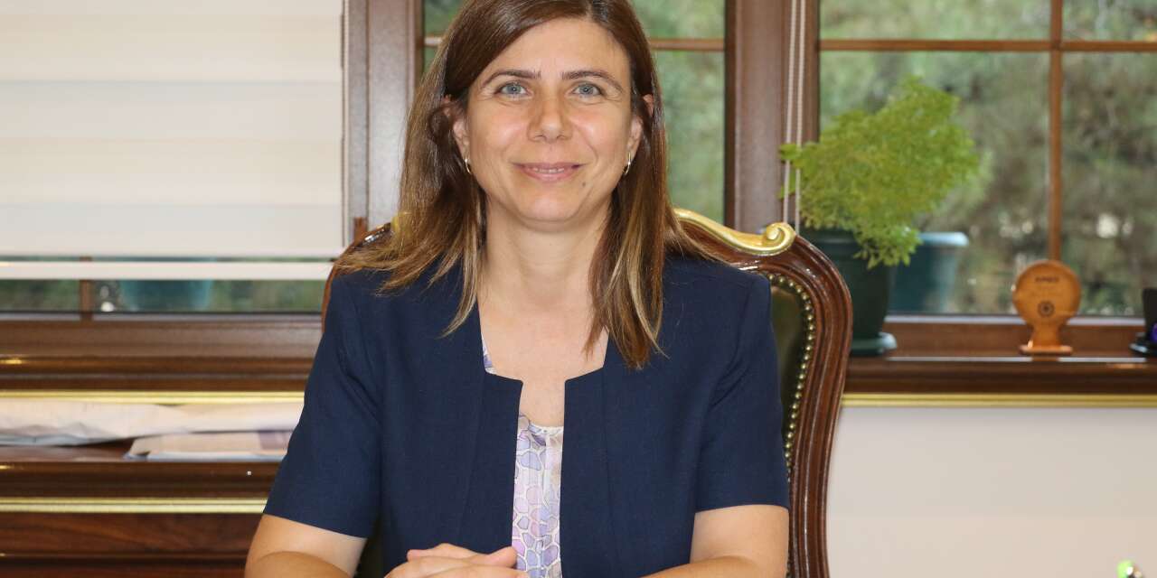 Diyarbakır’a 200 Milyon Avroluk Dev Raylı Sistem! Eşbaşkan Serra Bucak Bakanlarla Yapılan Kritik Görüşmeyi Açıkladı