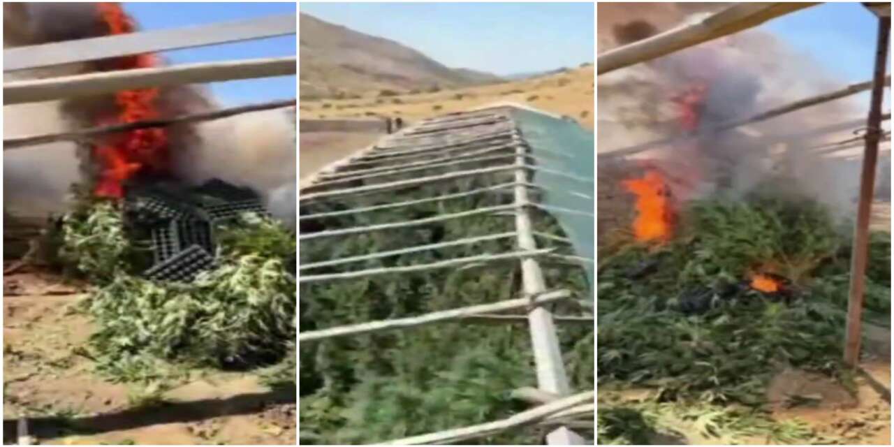 Mini Serada Gizli Zehir Üretimi! Ergani’de 1 Tonluk Uyuşturucu Oyunu Bozuldu