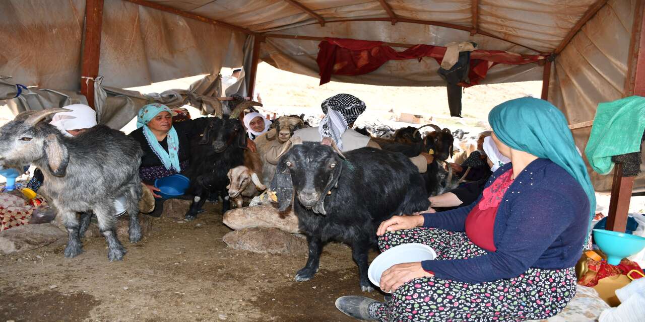 Şırnak’ın Zirvesinde Altın Fiyatına Tereyağı! Kilosu 5 Bin İle 10 Bin Lira Arasında Satılıyor
