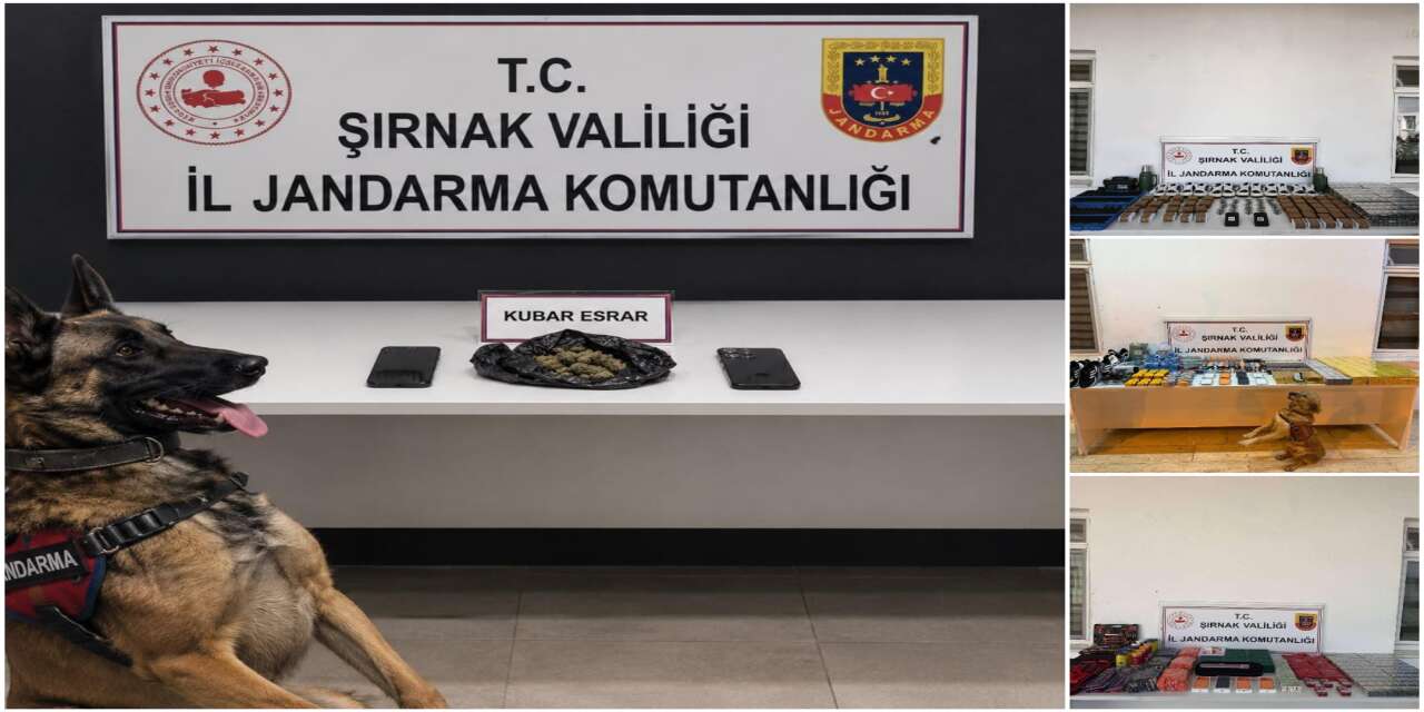20 Milyon TL’lik Vurgun, 194 Şüpheli, 31 Yakalama! Şırnak’ta Jandarma Nefes Kesti