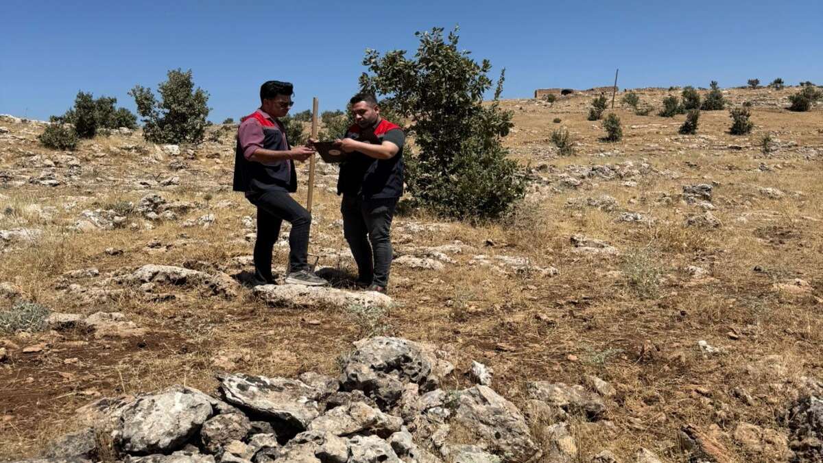 Şırnak Hayvancılığına Yeni Yatırım Dopingi! Sahada Kritik İnceleme