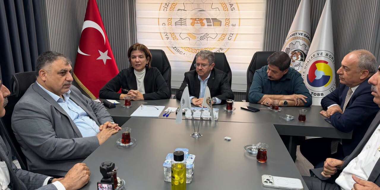 AK Parti Milletvekilleri Cizre TSO’da Bölge Ekonomisini ve Talepleri Masaya Yatırdı