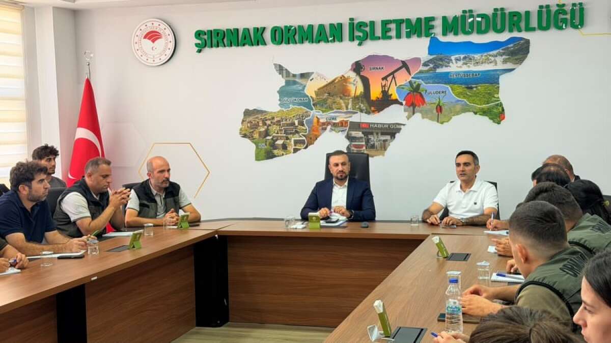 Şırnak’ta Orman Yangınlarına Karşı Tedbirler Masaya Yatırıldı