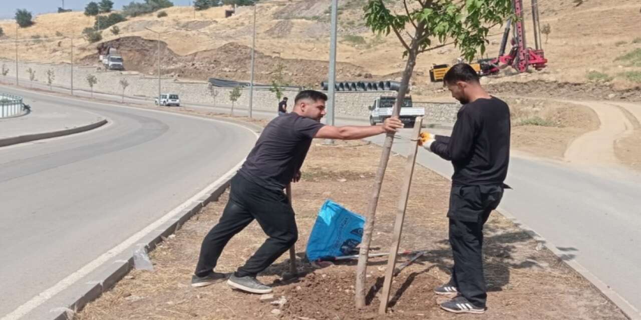 Şırnak Belediyesi’nden Kent Genelinde Temizlik Ve Bakım Seferberliği