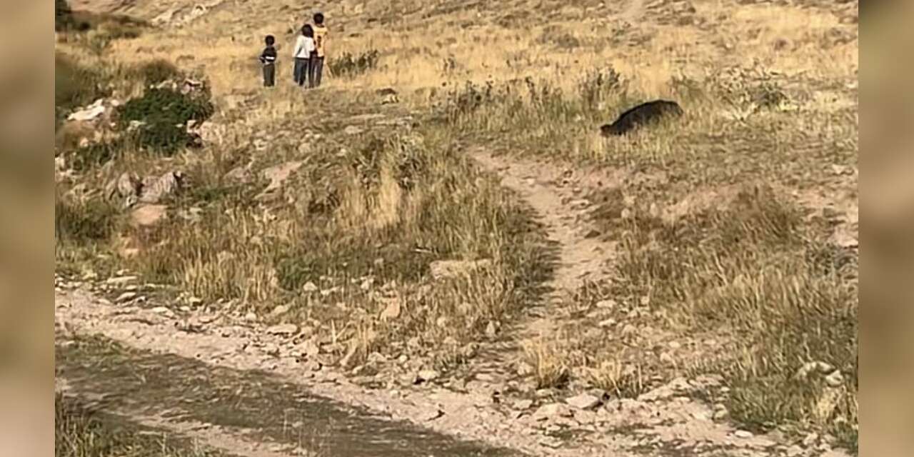 Yaylada Kaybolan Büşra Bebeğin Kanlı Elbiseleri Bulundu