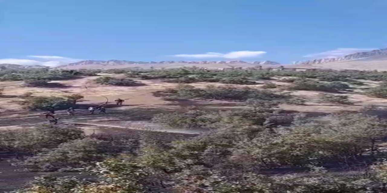 Beytüşşebap’ta orman yangını: Ekipler alevlerle mücadele ediyor