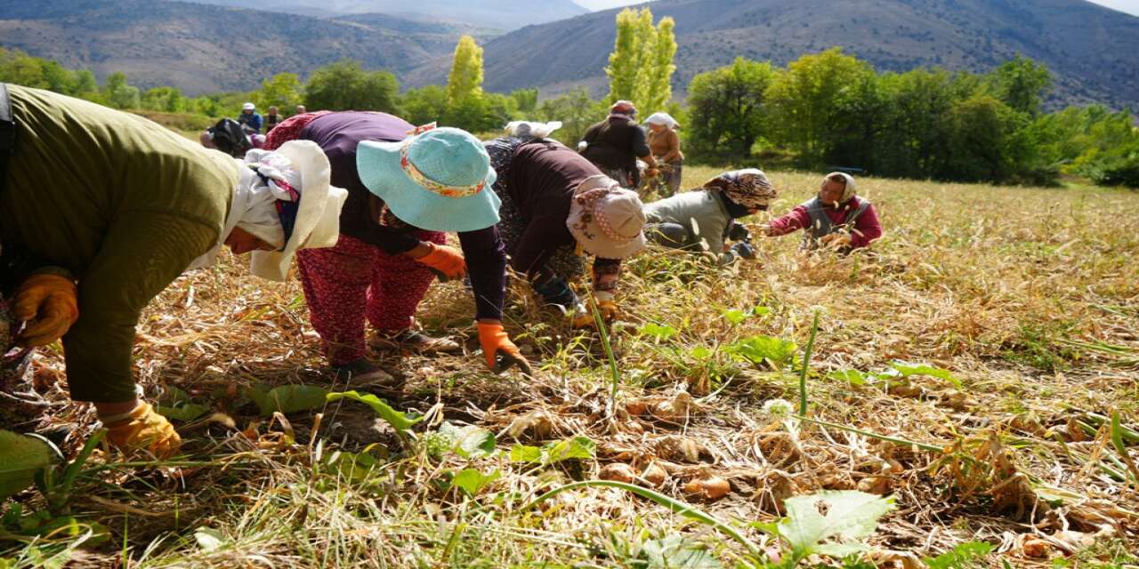 Erzincan'da 38 projeye 169,6 milyon TL hibe desteği