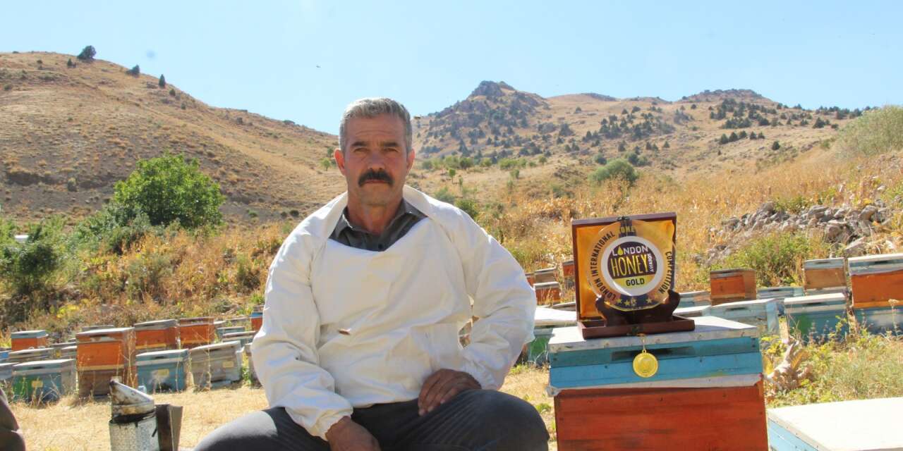 Şırnak’ın dağlarından Londra’ya uzanan altın başarı