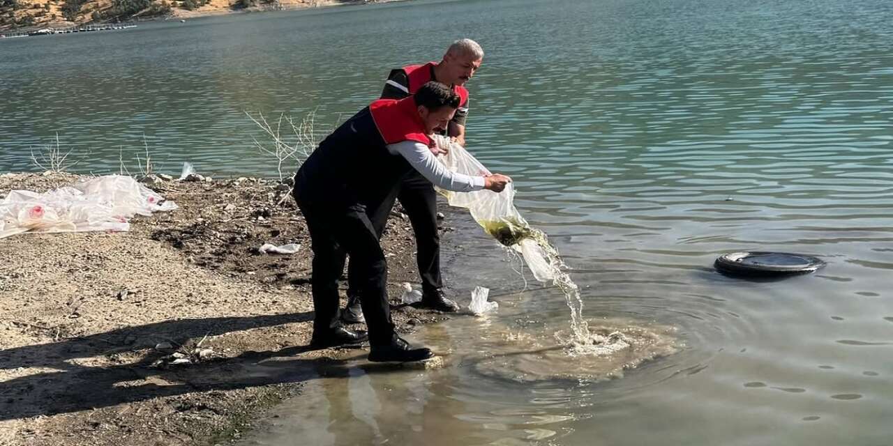 Şırnak’taki Baraj Göllerine 1 Milyon 280 Bin Yavru Sazan