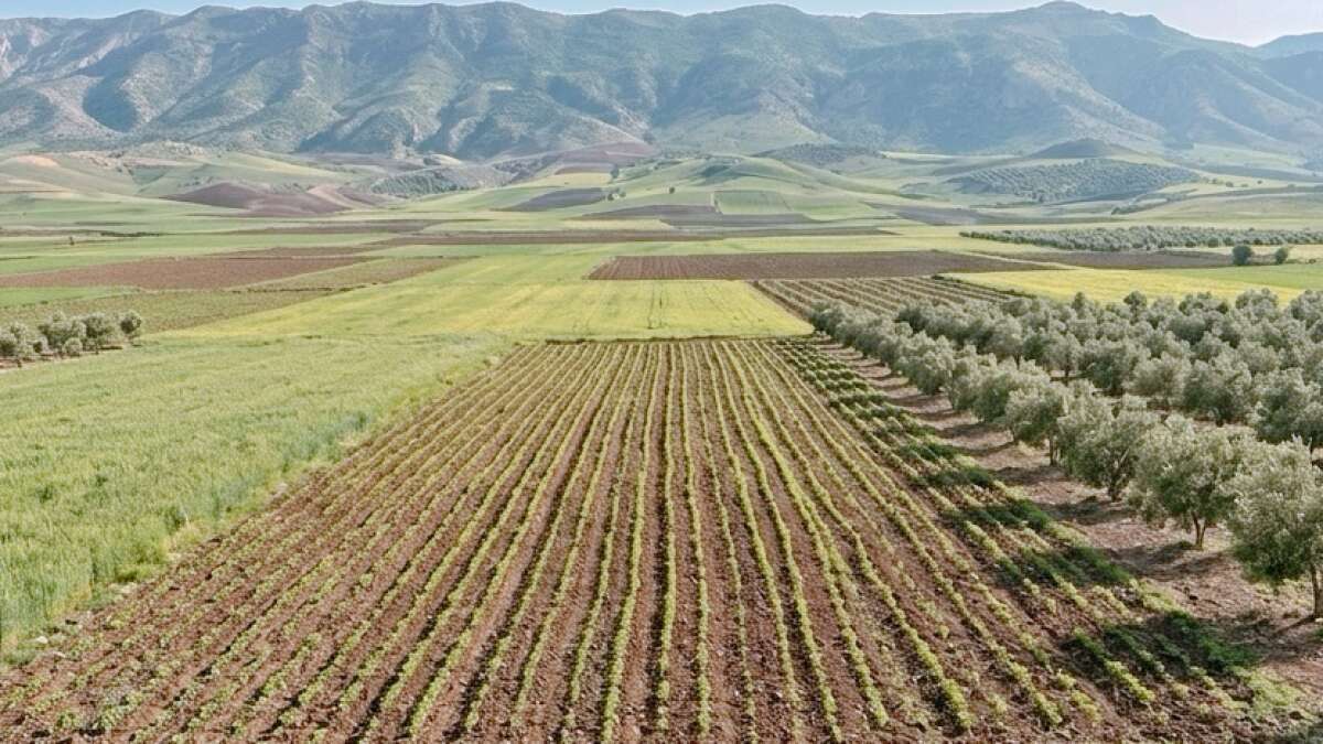 Şırnak’ta Çiftçilere Önemli Duyuru: 2027 Yılı ÇKS Başvuruları Devam Ediyor