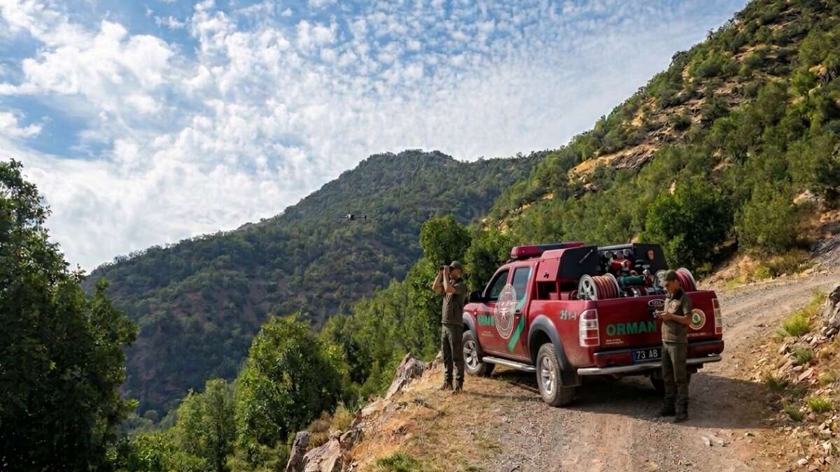 Şırnak’ta Ormanlar Gece Gündüz Mercek Altında: Ekipler Teyakkuzda!