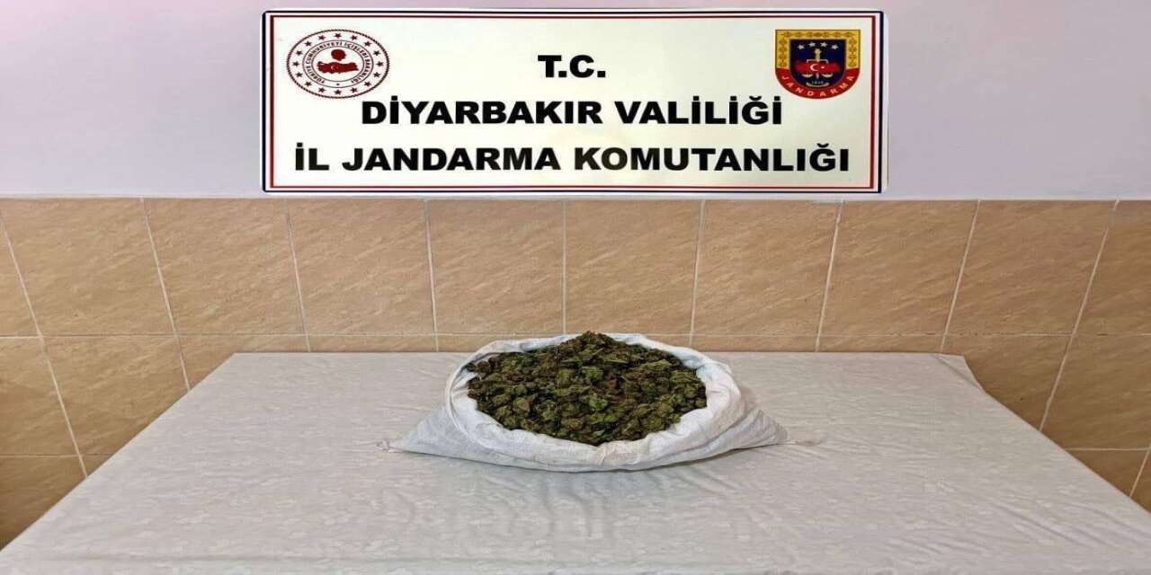 Diyarbakır'da Narkotik Operasyonu: Binlerce Kök Kenevir ve Kilo Kilo Esrar Ele Geçirildi!