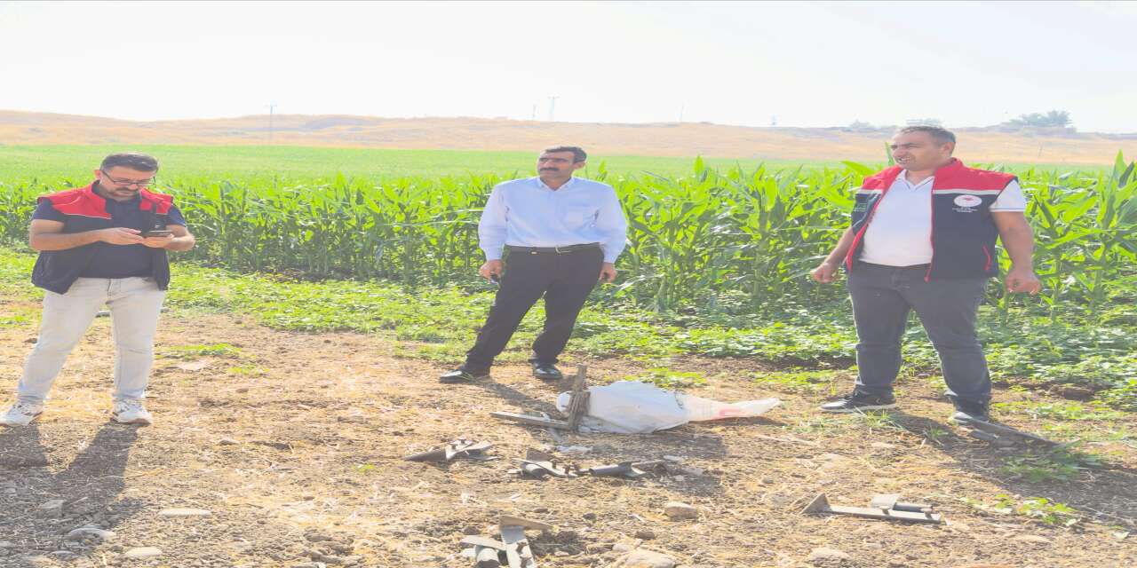 Cizre’de Tarımsal Üretim İçin Referans Parsel Çalışması