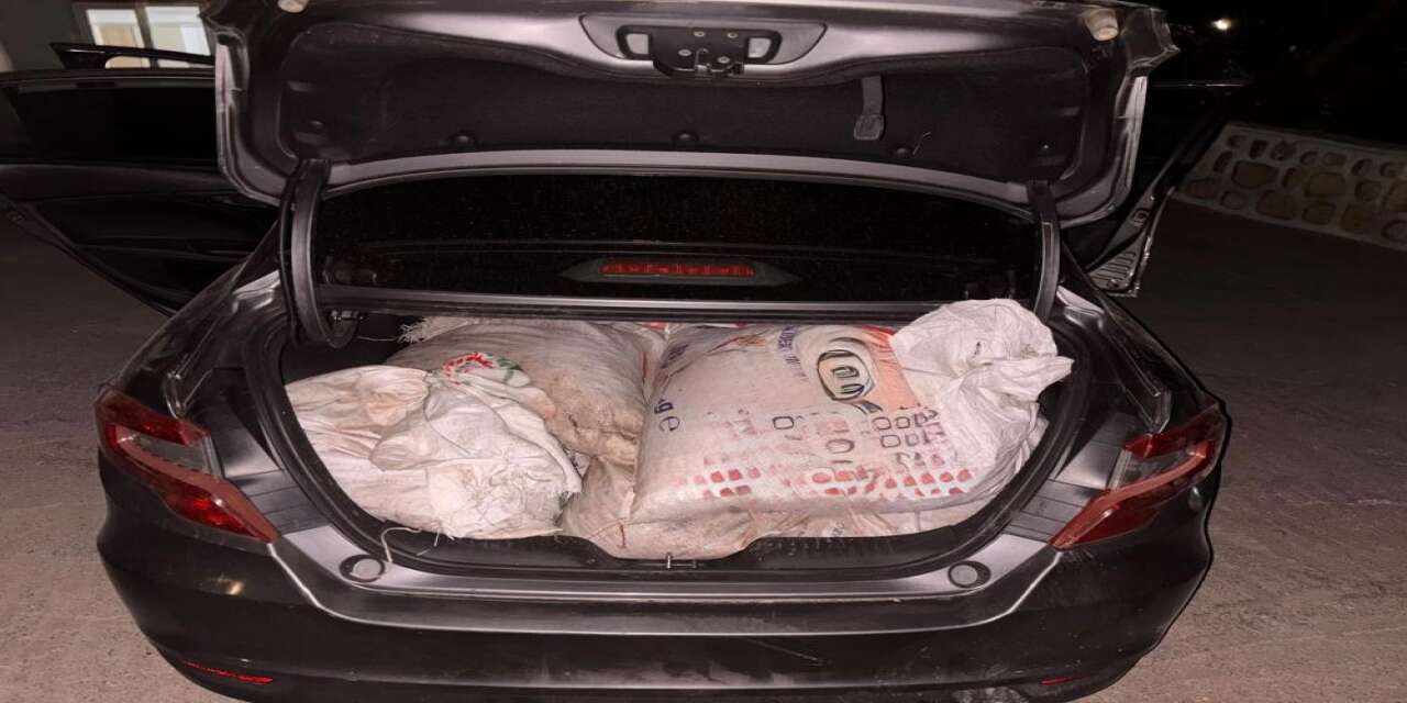 Siirt’te 300 kilo fıstık hırsızlığı kameralarla çözüldü