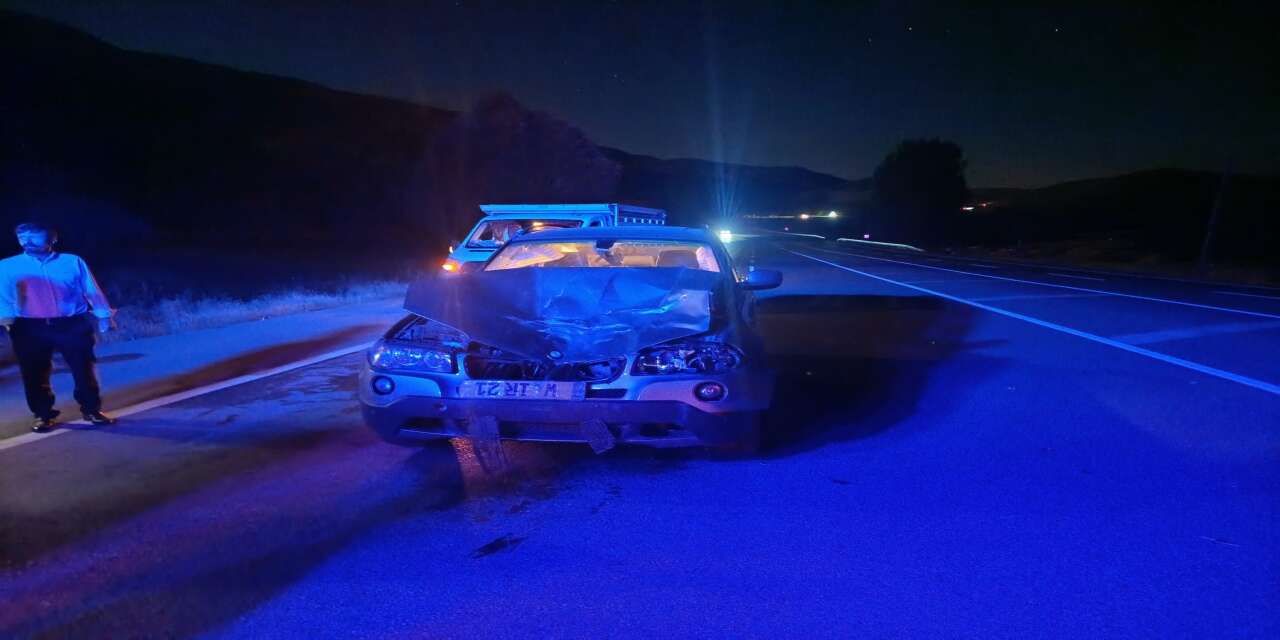 Bingöl’de Yola Çıkan Ata Otomobil Çarptı