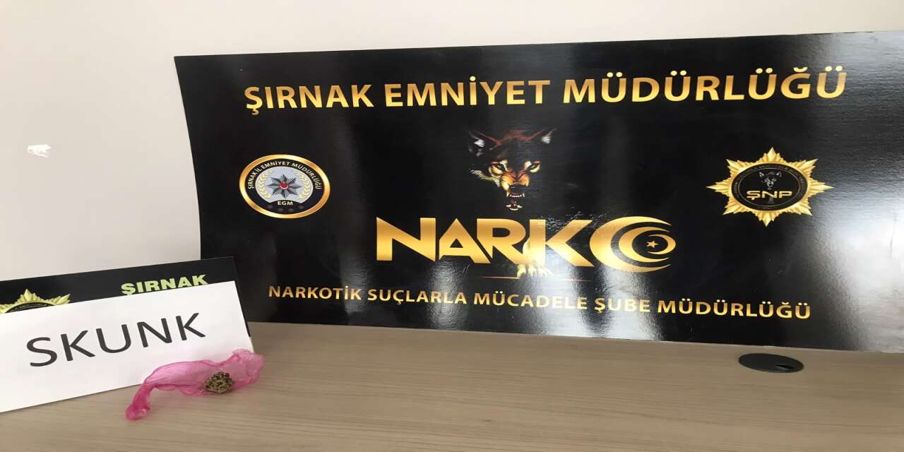 Şırnak’ta Operasyonlar Sürüyor: 36 Şüpheli Hakkında İşlem Yapıldı