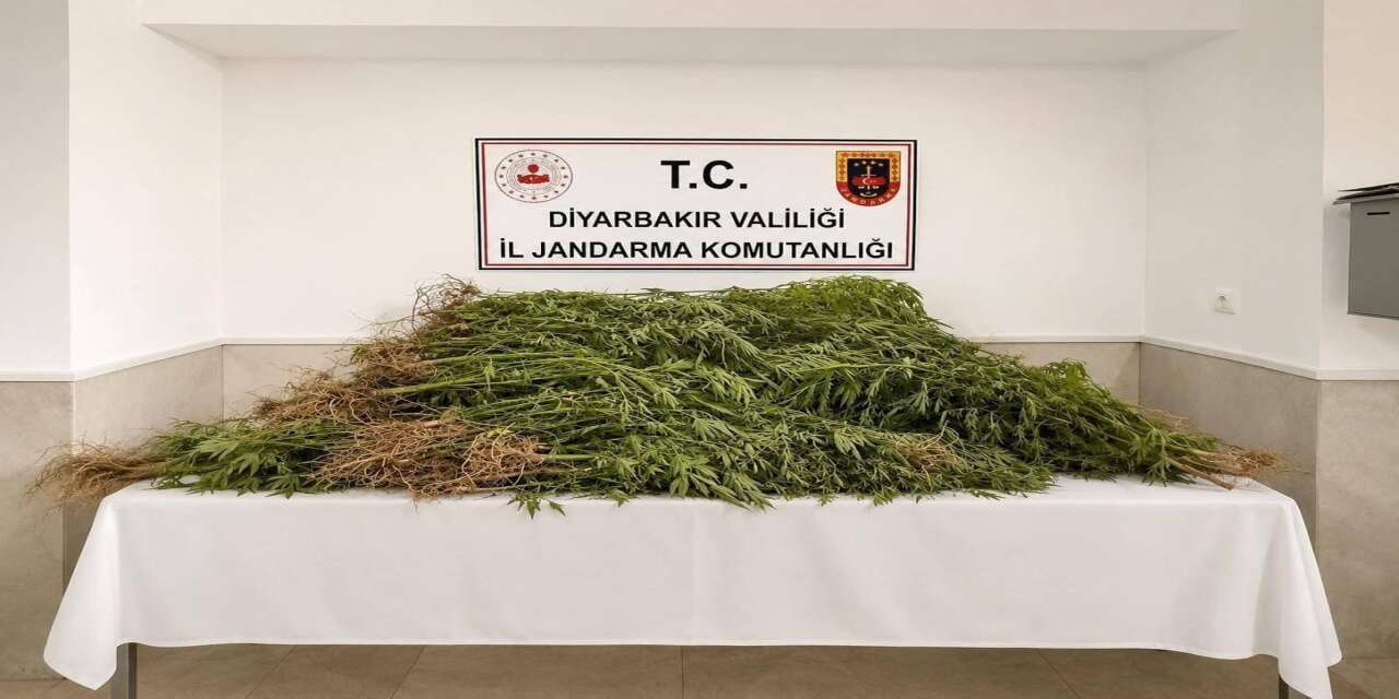 Diyarbakır'da Dev Narkotik Darbesi: Yüz Binlerce Kök Kenevir ve Kilo İle Esrar Yakalandı!