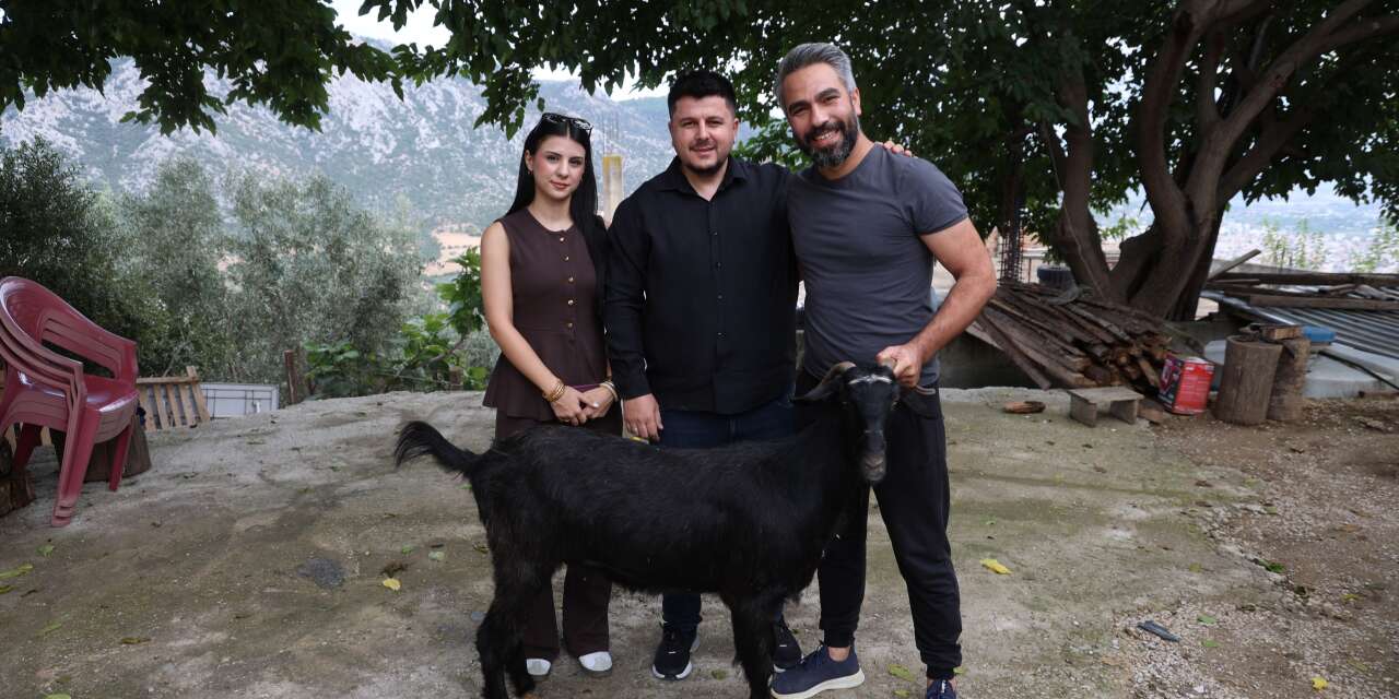 Damat Altın Beklerken Keçi Hediye Ettiler