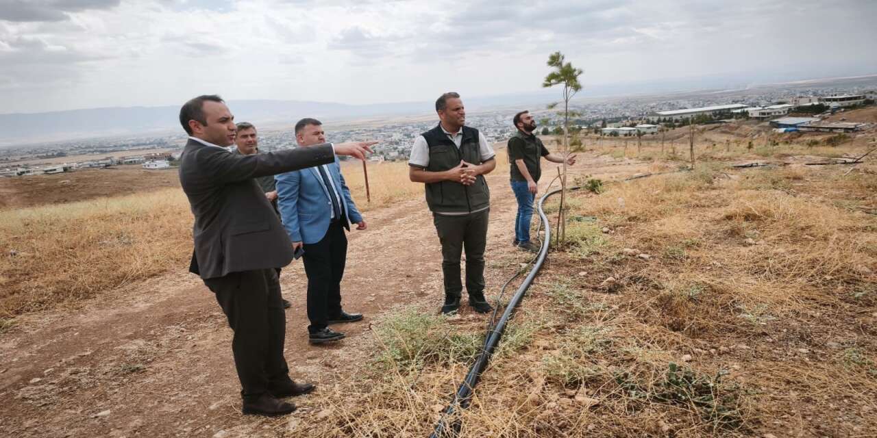 Silopi'nin Nasra Tepesi Yeşile Büründü: 12 Bin Fidan Toprakla Buluştu!