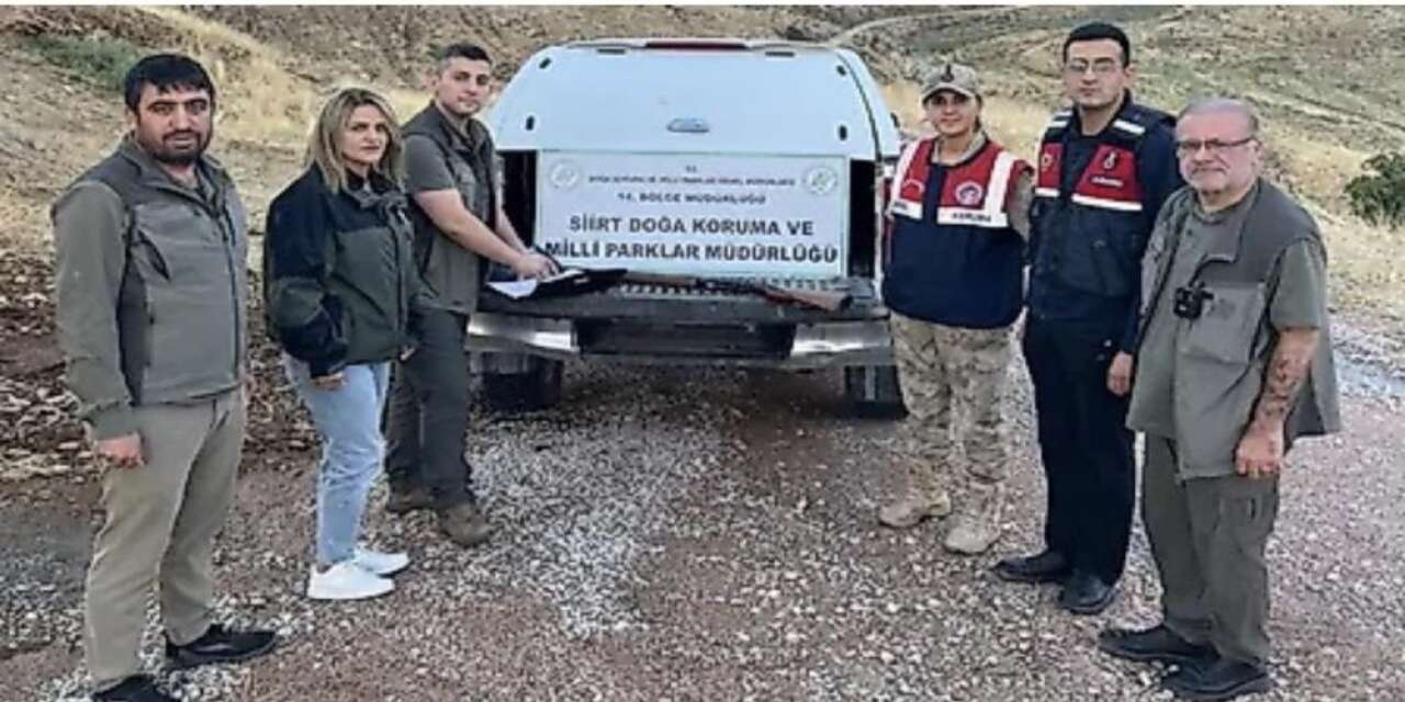 Siirt’te kaçak avcılığa sıkı denetim: Av belgesi olmayan şahıs yakalandı