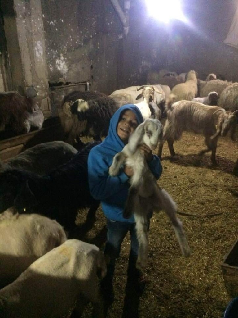 Ağılda çıkan yangında 12 yaşındaki çocuk yanarak öldü