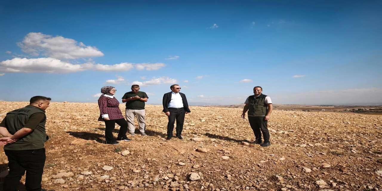 Silopi’de ‘Yeşil Silopi’ için düğmeye basıldı