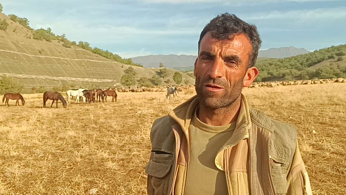 Şırnak'ta 6 Aylık Yayla Serüveni Sona Erdi: Göçerlerin Zorlu Kışlak Yolculuğu Başlıyor!