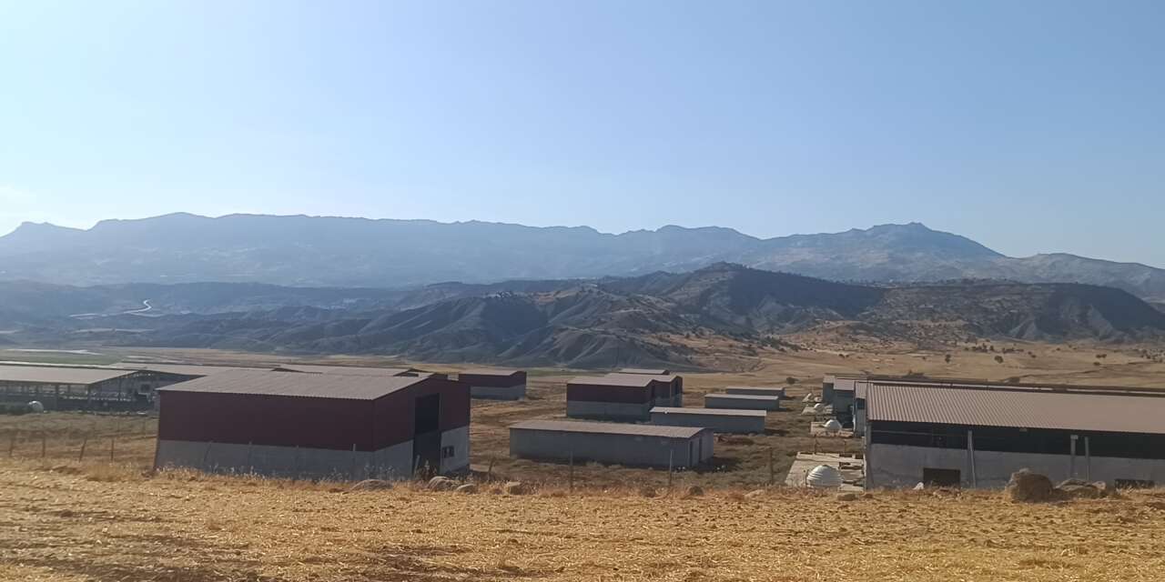 Şırnak’ta 7 Büyükbaş Hayvancılık Tesisi İçin Geçici Kabul Yapıldı