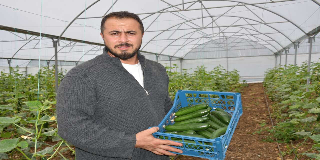 Şırnak Şenoba’da Devlet Desteği ile Kurulun Seralarda yılda üç defa hasat yapılıyor