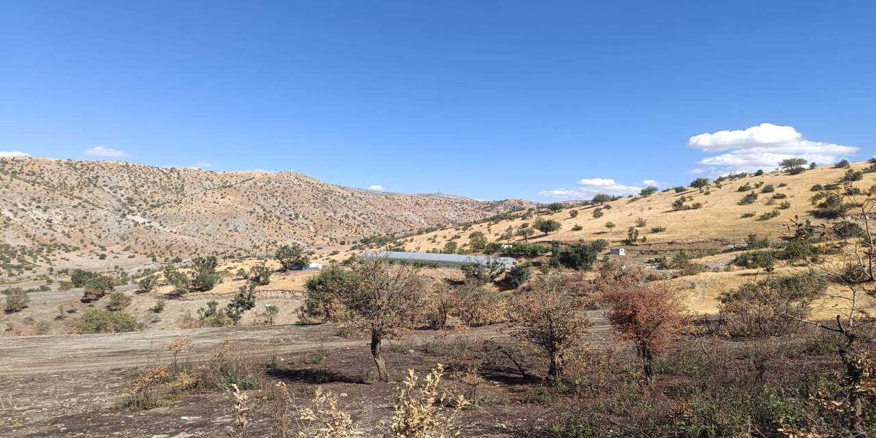 Babasının Vasiyetiyle Ata Toprağına Döndü: Cudi Dağı Eteklerinde Üretime Can Veriyor